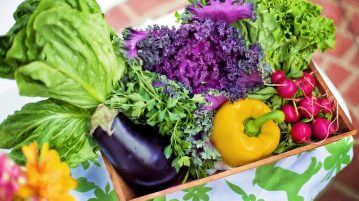 Ρυθμίστε τις ορμόνες σας με σωστή διατροφή! vegetables-790022_1280